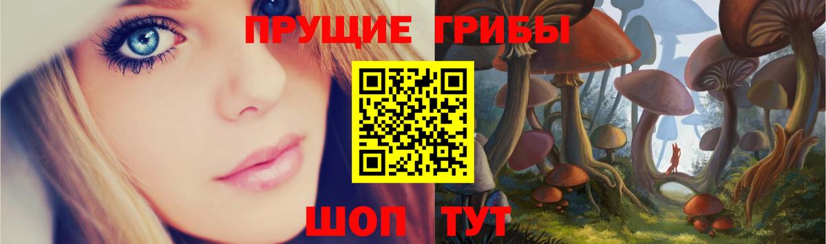 купить закладку  Галлюциногенные грибы Magic Shrooms  Вход с VPN  Псилоцибиновые грибы мицелий  Будённовск 